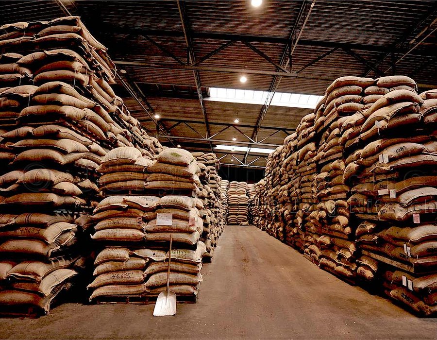 cocoa warehousing